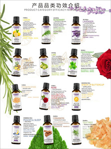 Custom Pure Tea <span class=keywords><strong>Tree</strong></span> Peppermint SPA Óleos corporais Cuidados com a pele Óleo essencial Gift Set Lavender aromaterapia óleo essencial - Product Image 2