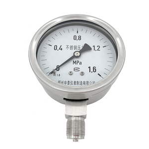 Yüksek kaliteli orijinal paslanmaz çelik işaretçi tipi 304 basınç göstergesi - Product Image 2