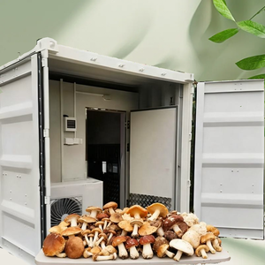 Commercial Turnkey Mushroom Farm Smart Growing Container with Automatic Humidity Temp Climate Control System Mushroom Growing - Product Image 6