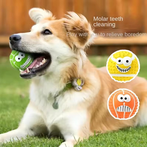 OEM Çevre Dostu Lateks Köpek Çiğneme Oyuncağı Üreticisi Evcil Hayvan Markaları İçin Toplu Tedarik - Product Image 2