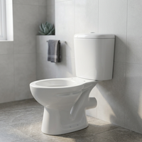 Ensemble WC monobloc en céramique haut de gamme à chasse directe pour projets commerciaux en Afrique