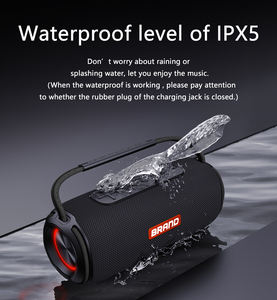 Altoparlante Bluetooth Portatile Impermeabile IPX6 da 40W con Logo Personalizzato, <span class=keywords><strong>Mega</strong></span> Bass e Luci LED RGB per Esterni - Product Image 3