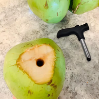 Logo personnalisé Outils de cuisine en acier inoxydable Carottier à fruits Outil d'ouverture durable et facile à utiliser Perceuse à trou Ouvre-noix de coco
