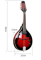 Weifang Rebon 8 String Electric Mandolin