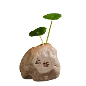 Jardinières en céramique Zen avec calligraphie, décoration hydroponique pour table à thé, ornement de bureau - Product Image 5