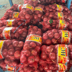 Cebollas Frescas Amarillas/Rojas en Bolsas de 50 kg al por Mayor, Garantía de Recompra del 100% - Product Image 6