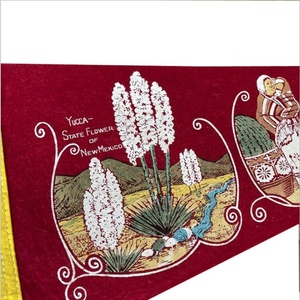 Trường Bóng Đá Đội Câu Lạc Bộ Tam Giác Cờ Cờ Thể Thao Cao Đẳng Câu Lạc Bộ Lớn Nhỏ Tùy Chỉnh Cảm Thấy Thăng Hoa Cờ Biểu Ngữ - Product Image 3