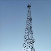 Menara Pemantauan Baja Galvanis Celup Panas Multifungsi untuk CCTV dan Komando Darurat
