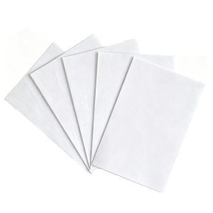 Foglio di Plastica PP/PE Sottile Multiuso Personalizzato su Rotoli - Bianco/Traslucido, Taglio Personalizzato 4x8 Piedi, Barre in PP Disponibili - Product Image 4