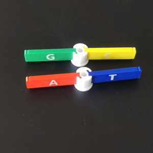 Modelo de Doble Hélice de ADN <span class=keywords><strong>para</strong></span> Armar, Juguete Educativo con Bases Genéticas de Colores, <span class=keywords><strong>para</strong></span> Demostraciones <span class=keywords><strong>en</strong></span> Clases de Biología y Ciencias - Product Image 2