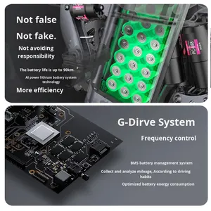 Bicicletta Elettrica Portatile con Motore da 400W e Batteria al Litio Ultraleggera da 48V, Veicolo Elettrico Pieghevole Nuovo Standard Nazionale - Product Image 3