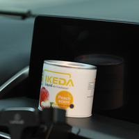 Diffuseur d'air pour voiture IKEDA, liquide personnalisé, design moderne, écologique, parfum longue durée, parfum naturel