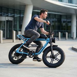 <span class=keywords><strong>Vélo</strong></span> <span class=keywords><strong>Électrique</strong></span> Urbain Premium Vintage à Pneus Larges avec Écran LCD, <span class=keywords><strong>Vélo</strong></span> <span class=keywords><strong>Électrique</strong></span> Urbain pour Centres <span class=keywords><strong>de</strong></span> Conférences et Places <span class=keywords><strong>de</strong></span> Rendez-vous - Product Image 6