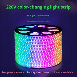 220V 12V trang trí LED SMD 5050 RGB điều khiển từ xa không thấm nước LED Strip Lights/LED Light Strip/Thông minh Strip Ánh Sáng IP65 - Product Image 3