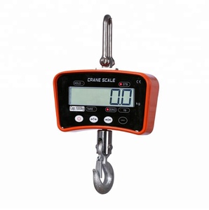 Báscula de Grúa de Alta Precisión con Gancho de Elevación, Capacidad de 1000 kg - Product Image 1