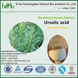 pure natural <span class=keywords><strong>rosmarinus</strong></span> <span class=keywords><strong>officinalis</strong></span> (rosemary) leaf extract - Product Image 2