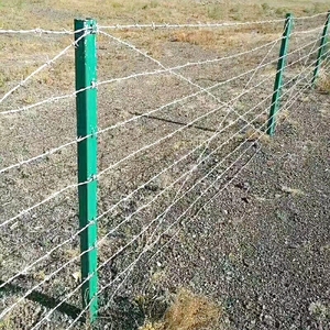 Dây thép gai mạ kẽm 1.6mm Đường kính dây 250m chiều dài 3 sợi dây thép gai sẵn sàng để tàu - Product Image 6