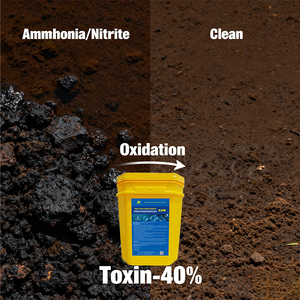 Tabletas de Oxígeno de Alta Potencia para Acuicultura, Mejora del Oxígeno Disuelto en Estanques, Calidad del Agua, Potenciador de Oxígeno - Product Image 4