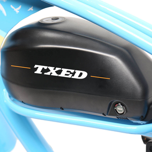 TXED 48V 15Ah Motor de buje trasero de estilo europeo Beach Cruiser E-Bike 250W potencia sin escobillas con batería de litio motocicleta eléctrica - Product Image 6