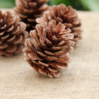 10 Stück DIY Tannenzapfen Weihnachtsbaumschmuck Natürliche Tannenzapfen für Winterpartydekoration
