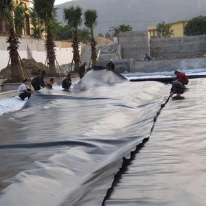 Geomembrana HDPE para acuicultura, precio de Geomembrana, represa de depósito, minería, revestimiento para estanque de peces, venta al por mayor - Product Image 5