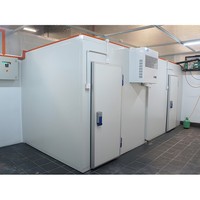 Cámara Frigorífica Comercial, Almacén Refrigerado, Contenedor Congelador de 20 pies, Cámara Frigorífica para Carnes, Verduras y Pescado
