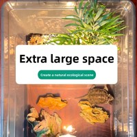 Grand réservoir rectangulaire en plastique pour tortues, boîte d'élevage, enclos, conteneur d'élevage pour usage domestique, pour tortues à oreilles rouges