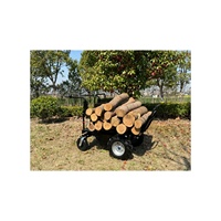 Elektrische DIY-Schubkarre für den Haushalt, 12V20Ah, Allradantrieb, Mini-Dumper-Lader mit Motor, lange Lebensdauer für Garten und Hof