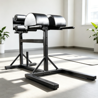 Machine GHD (Glute Ham Developer) pour l'entraînement des fessiers et des ischio-jambiers, extensions dorsales, équipement de fitness pour la musculation des ischio-jambiers, pour salle de sport et studio
