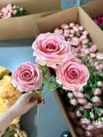 Roses artificielles en tissu de haute qualité, toucher réaliste, vente en gros, décoration pour la fête des mères et les mariages