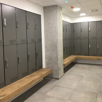 Casiers en acier Youbai assemblés avec serrures électroniques et à clé pour employés, usage en salle de sport, entrepôt ou centre commercial