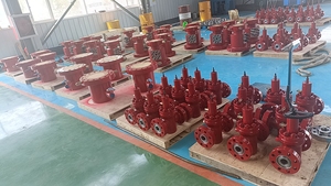 วงแหวนเชื่อมต่อแบบโอเวอร์เลย์ 6A Wellhead Gate 2.1/16"5M พร้อมร่องเชื่อม-DD-PSL2-PR1-U วัสดุเหล็กตีขึ้นรูปคุณภาพสูง - Product Image 3