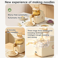 Machine à nouilles pour usage domestique, presse à nouilles entièrement automatique de petite taille, intelligente et intégrée à la fonction de fabrication de peaux de raviolis