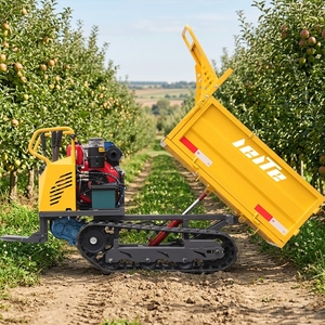 Productos Más Vendidos a Nivel Mundial, Dumper de Bajo Precio Tipo Crawler de 500 kg, 800 kg, 1 Tonelada, 2 Toneladas, 3 Toneladas, 5 Toneladas, Mini Transportador Personalizado - Product Image 1