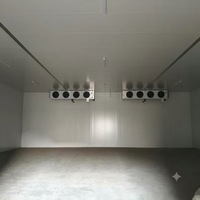 Refroidisseur d'air à double évacuation à faible bruit monté au plafond pour atelier de transformation alimentaire
