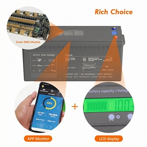 แบตเตอรี่ลิเธียมไอรอนฟอสเฟต Lithtech RS232, RS485 Lifepo4 12v 100ah 200ah 24V 4 ชุดขนานแบบอนุกรม - Product Image 2