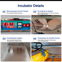 Nouvel incubateur à œufs de volaille de petite taille, capacité de 264 œufs pour poulets, oies, autruches, dindes et canards, 220V, taux d'éclosion élevé