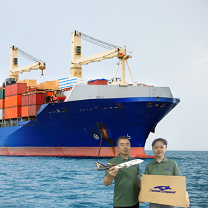 सस्ता और तेज छोटे कार्गो जहाज समुद्री यात्रा फारवर्डर शिपिंग एजेंट चीन में अमेरिका/ब्रिटेन - Product Image 5