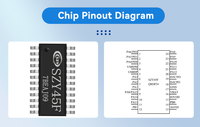 SIZEYUAN SZY45F0 SSOP24 Puce MP3 à commande vocale MCU 32 bits avec 7 broches E/S numériques programmables, mémoire Flash 128 Mo, contrôleur hôte SD