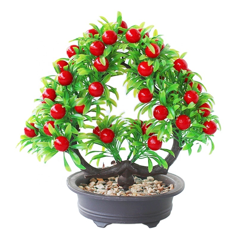 anthurium clarinervium gelbe blätter Anthurium Clarinervium (Herzblattblume) – Foliage Dreams