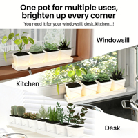 Pots à plantes succulentes carrés blancs avec plateau de drainage, pots de pépinière en plastique pour cactus, petites plantes, décoration de bureau à domicile