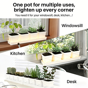 Pots à plantes succulentes carrés blancs avec plateau de drainage, pots de pépinière en <span class=keywords><strong>plastique</strong></span> <span class=keywords><strong>pour</strong></span> cactus, petites plantes, décoration de bureau à domicile - Product Image 5