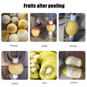 Machine à éplucher les légumes et les fruits en acier inoxydable 304, facile à utiliser, zester à citron pour peaux plus épaisses, garantie 1 an - Product Image 5