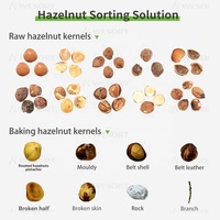Clasificador de Formas y Colores por IA de Aprendizaje Profundo 6SXZ-68L para Nueces y Avellanas con >99.99% de Precisión, Maquinaria de Procesamiento de Alimentos con Certificación CE/FCC