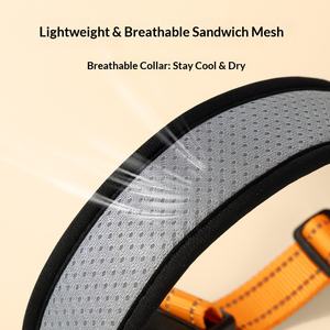 Conjunto de Correa y <span class=keywords><strong>Collar</strong></span> Reflectante Moderno para Perros, Correa Ajustable de Pelo de Gato con Tiras Reflectantes para Todas las Estaciones, Seguridad Nocturna para Caminar, Talla Grande - Product Image 4