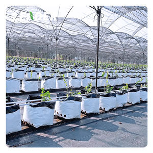 UV estabilizado huerto vivero invernadero agrícola 5 galones bolsa de cultivo cuadrado negro blanco PE suave bolsa de plantación de árboles frutales - Product Image 1