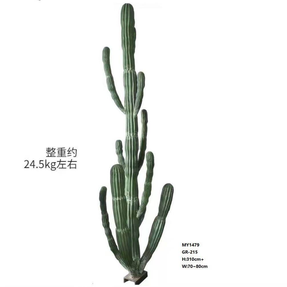 Cactus-306cm gigante