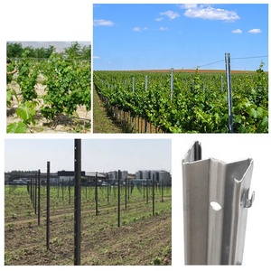 Fornire metallo vigneto Post professionale zincato a caldo Post dalla cina - Product Image 6