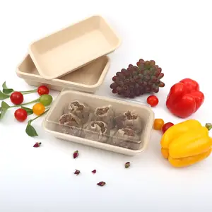 Biodegradable Tableware Cup Tray Lunch Box Plate Bowl Bamboo Pulp Bagasse Take Away Food Dinnerware Bowls