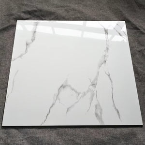 Azulejos de Porcelana Vitrificada de Doble Vidrio 60x60cm para Uso en Villas y Escuelas, Venta al Por Mayor - Product Image 1